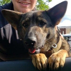 Meet your Posher, Chelsea